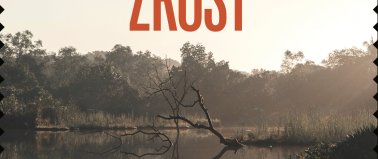 Zrost - Robert Małecki